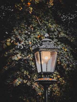 Gør din have lysere og sikrere med de rigtige udendørslamper