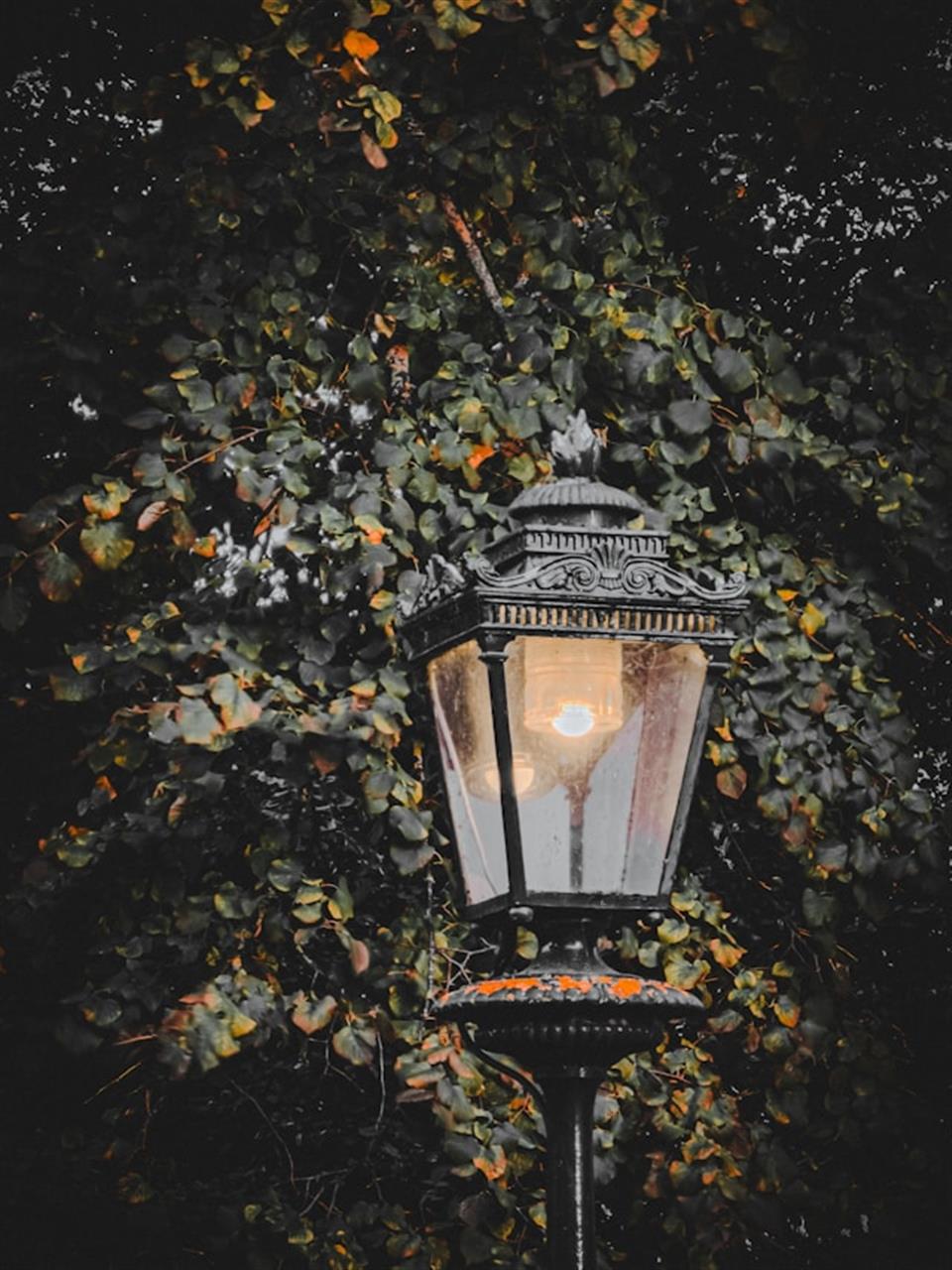 Gør din have lysere og sikrere med de rigtige udendørslamper